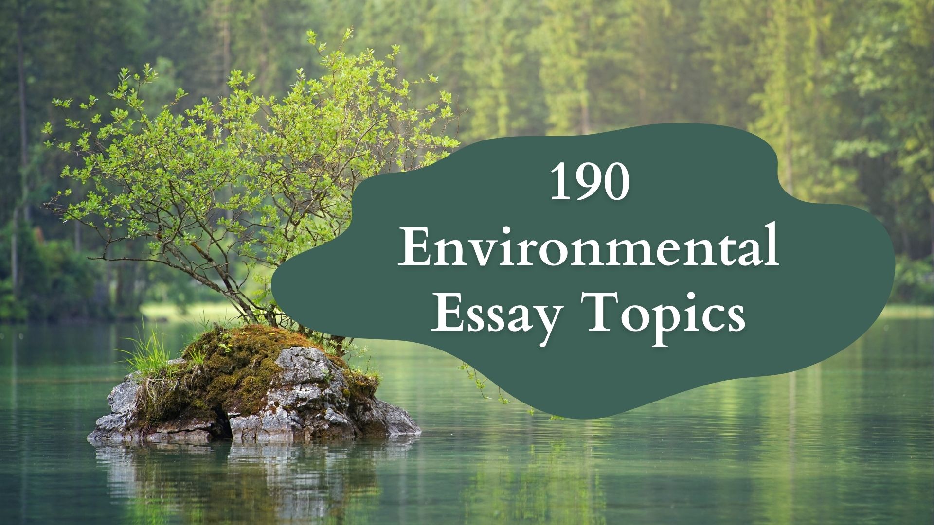 190 Exceptional Environmental Essay Topics To Get An A+